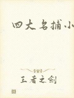 四大名捕小说
