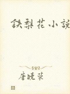铁梨花小说