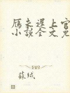 雁未迟上官穿越小说全文免费阅读