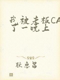 我被老板CAO了一晚上