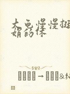 大龟慢慢挺进张娟的休