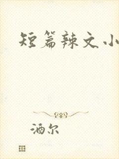 短篇辣文小说