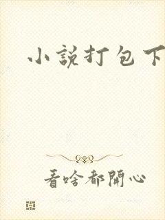 小说打包下载