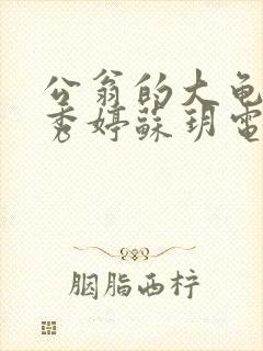 公翁的大龟挺进秀婷苏玥电影