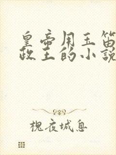 皇帝用玉笛整摄政王的小说