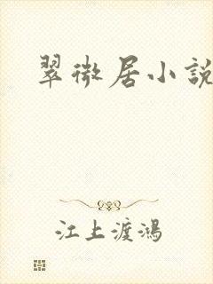 翠微居小说