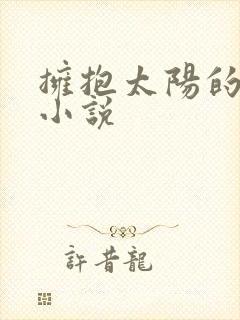 拥抱太阳的月亮小说