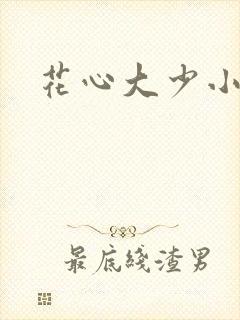 花心大少小说