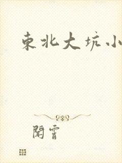 东北大坑小说