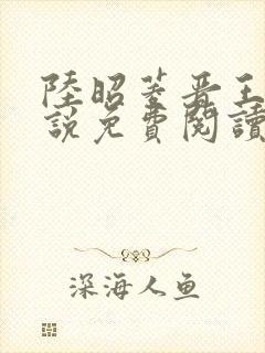 陆昭菱晋王的小说免费阅读