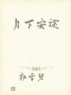 月下安途