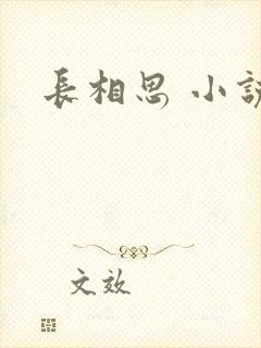 长相思 小说