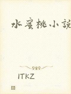 水蜜桃小说