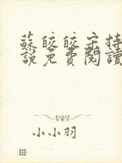 苏皎皎宋持的小说免费阅读