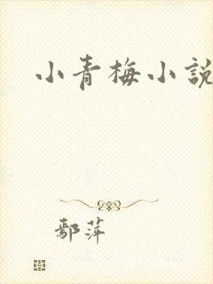 小青梅小说