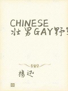 CHINESE壮男GAY野战强迫TUBE