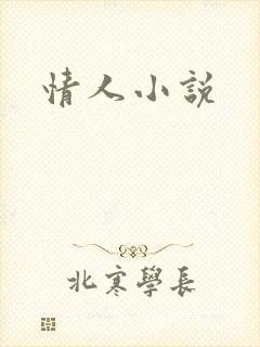 情人小说
