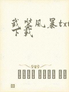 武装风暴txt下载