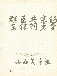 群臣共享的小公主银羽免费阅读