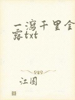 一泻千里金银花露txt