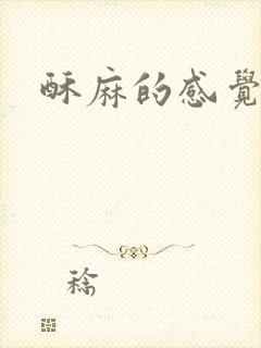 酥麻的感觉小说