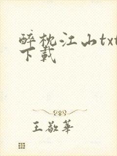 醉枕江山txt下载