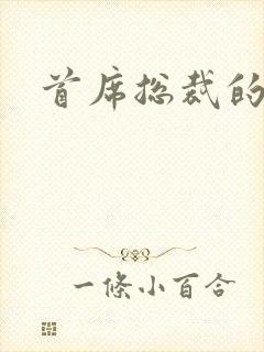 首席总裁的逃妻