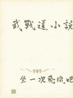 武战道小说