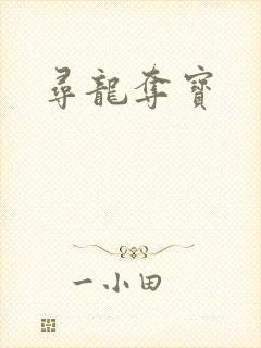 寻龙夺宝