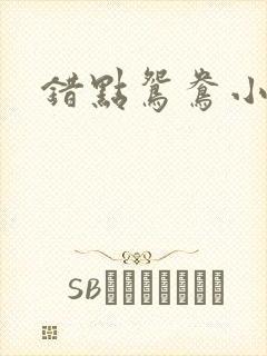 错点鸳鸯小说