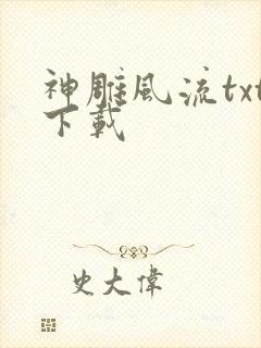 神雕风流txt下载