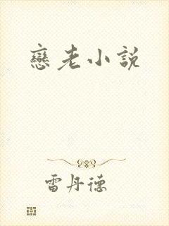 恋老小说