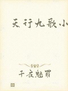 天行九歌小说