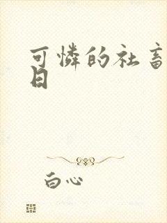 可怜的社畜东度日