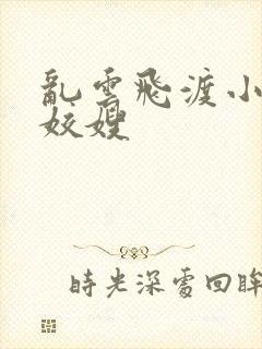 乱云飞渡小说之姣嫂