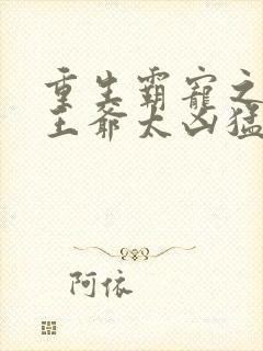 重生霸宠之摄政王爷太凶猛