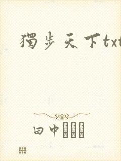 独步天下txt