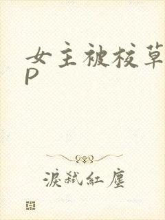 女主被校草们NP