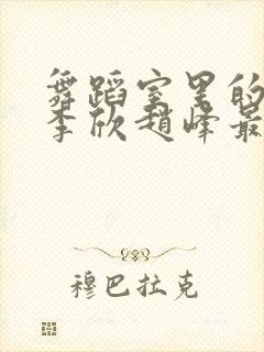 舞蹈室里的景色李欣赵峰最新章节