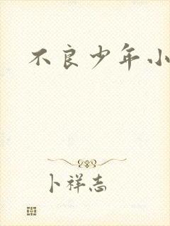 不良少年小说