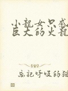 小龙女只感觉那巨大的火龙枪