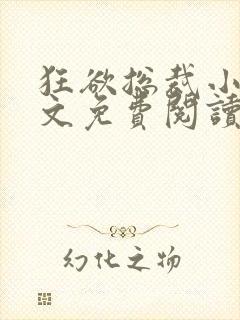 狂欲总裁小说全文免费阅读