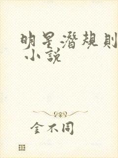 明星潜规则之皇 小说