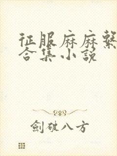 征服麻麻系列大合集小说