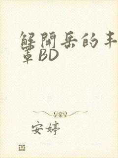 解开岳的丰满奶罩BD