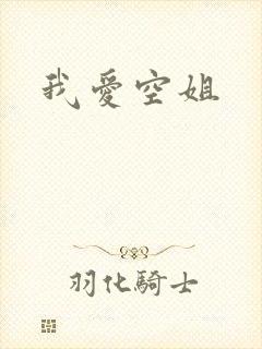 我爱空姐