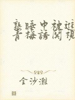 熟睡中被进了H青梅诱哄视频