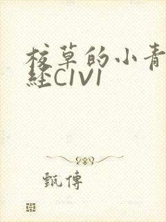 校草的小青梅不经C1V1