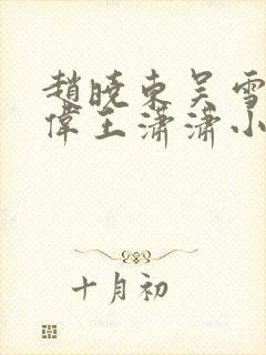 赵晓东吴雪晴郑伟王潇潇小说名字