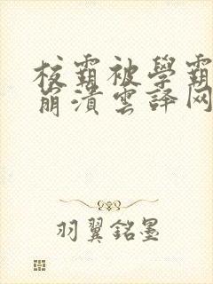 校霸被学霸玩到崩溃云译网